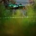 Honda cool on V8 return as Aston rumours swirl