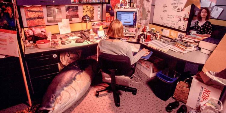 Yahoo, the internet’s ‘OG’, wants to win over Gen Z