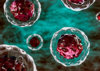 EMA Turns Down 3 Therapies Across Oncology, Transplantation