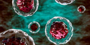 EMA Turns Down 3 Therapies Across Oncology, Transplantation