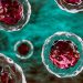 EMA Turns Down 3 Therapies Across Oncology, Transplantation