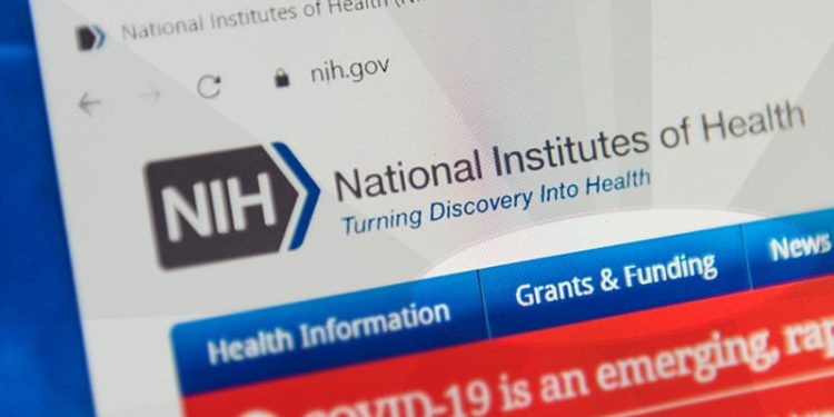 The Lasting Impact of Terminated Grants