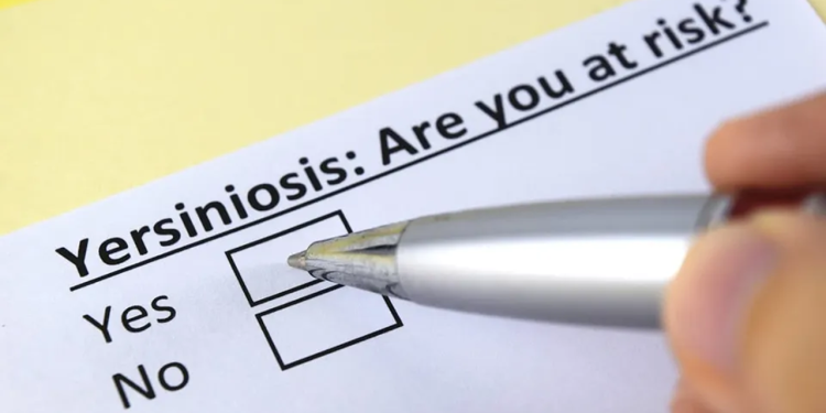 Search ongoing for source of Yersinia outbreak in Norway