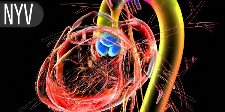 Aortic Stenosis Patients Still Tripped Up by Diagnosis Issues on the Path to AVR