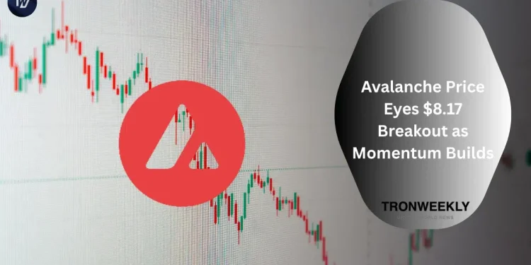 Avalanche Price Eyes $8.17 Breakout as Momentum Builds