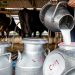 Raw milk outbreak reported in Louisiana