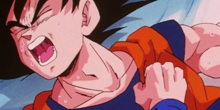 France Celebrates $7 Billion Dragon Ball Z Theme Park Paid For By Saudi Arabia: ‘You Know My Passion For Manga’