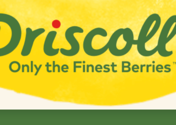 Berry company CEO steps down amid pesticide whirlwind
