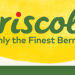 Berry company CEO steps down amid pesticide whirlwind