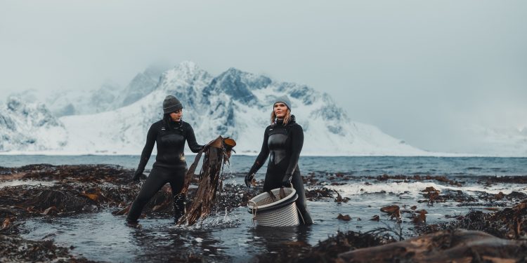 Meet the Women Leading Norway’s Seaweed Revolution