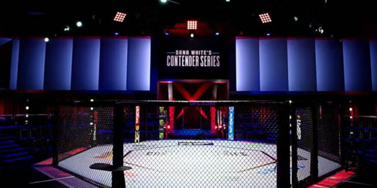 Why this UFC fighter refuses to quit her regular 9-to-5 job