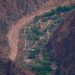 Chiropractor Among the Dead in Grand Canyon Flood