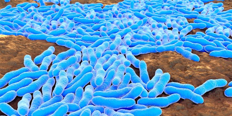 GLP-1 Studies Suggest Benefits Extend to Infectious Diseases