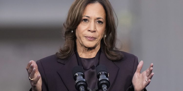 Kamala Harris on red-state Dems keeping her at arm’s length: ‘Whatever they need to do to win’