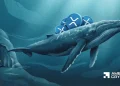 XRP whale withdraws 231M as ETFs add $28M – Who’s right?