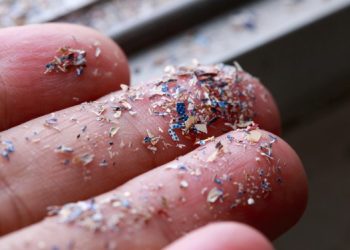 Your Home is Crawling With Microplastics