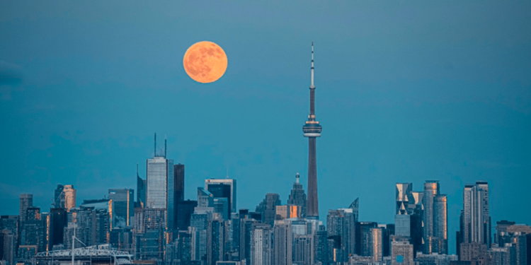 The Growth of Online Gambling in Ontario: Trends and Future Outlook