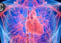 Statins Handed a Victory in Healthy Older People in STAREE