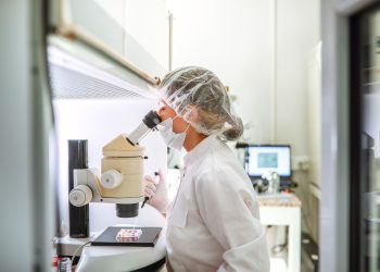 High Fertility Costs Push Americans Abroad for IVF Treatment