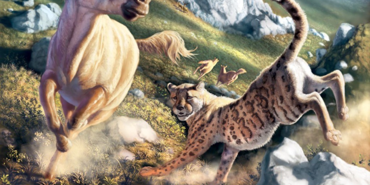 Ancient American cheetahs were not exactly cheetah-like