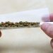 Cannabis Use Linked to Earlier Psychosis Onset