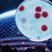 Trump Cuts Mask True Extent of Cyclospora Outbreaks