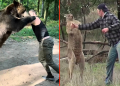 Four times fighters took on deadly animals after MMA star books PPV bout with chimp