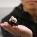 These Cyborg Cockroaches Could Save Your Life