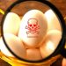 UK most affected in multi-country Salmonella outbreak