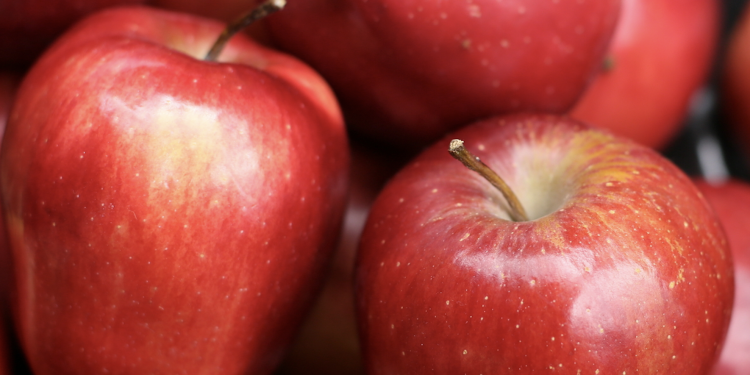 A revolution is on the way in how apples are harvested