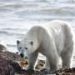 Climate change images are getting scarier—could fear help drive action?