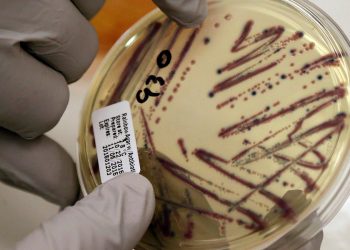 Alfalfa Sprouts Linked to 15-State Food-Poisoning Outbreak