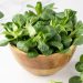 Cheese and lettuce behind French Cryptosporidium outbreaks