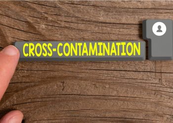 Eggs blamed in Chinese Salmonella outbreak