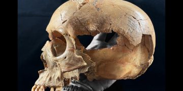 Cannibalism returned to the menu multiple times in Neolithic Europe