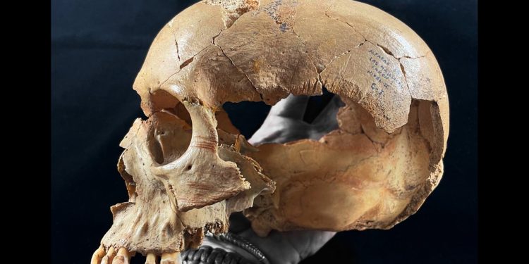 Cannibalism returned to the menu multiple times in Neolithic Europe