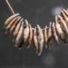 5,000-Year-Old Tooth Necklace, Stone Axe, and Two Human Skulls Found in a Nearly Overlooked Grave