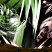 Bloodless is a samurai revenge story where your goal isn’t to take lives, now on Android