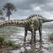 First Diplodocus fossils found outside of United States 