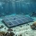 Scientists test underwater solar panels that work 10 meters beneath the waves —breakthrough perovskite tech could support self-powered marine drones