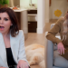 The Real Housewives of Orange County Recap: Birthday Bummers