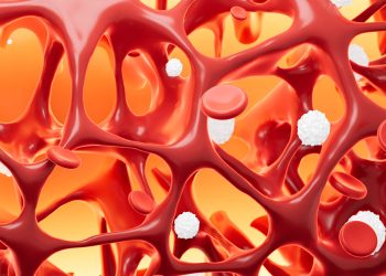 Bone Density Appears to Rebound in Transgender Youth After Puberty Blockers Are Done
