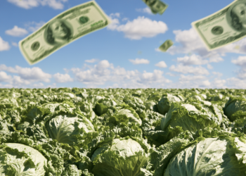 Publisher’s Platform: Food safety is not expensive. Outbreaks are expensive.
