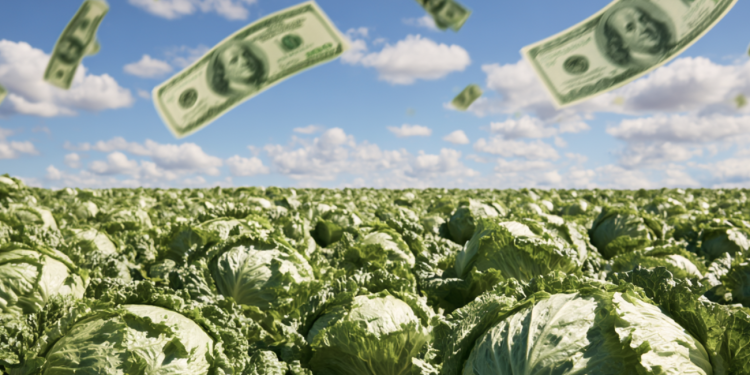 Publisher’s Platform: Food safety is not expensive. Outbreaks are expensive.