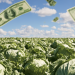 Publisher’s Platform: Food safety is not expensive. Outbreaks are expensive.