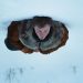 ‘A Long Winter’ Review: Andrew Haigh Finds Love and Dread High in the Mountains