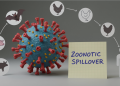 The Sunday Edition: Zoonoses