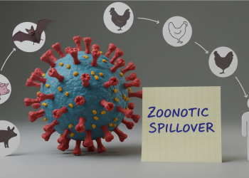 The Sunday Edition: Zoonoses