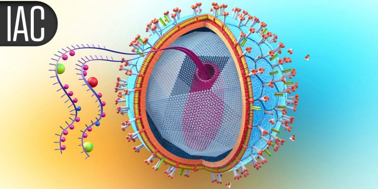 Long-Acting Lenacapavir Still Delivered Effective HIV PrEP After a Year