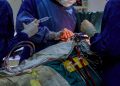 Dapagliflozin Makes Good on Preventing Cardiac Surgery-Associated AKI